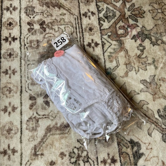 American Eagle Outfitters White Lace Camisole - Picture 10 of 10